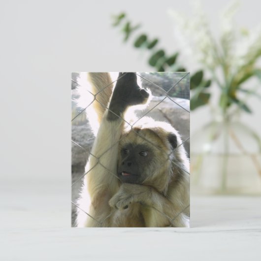 Monkey Greeter Briefkaart (Staand voorkant)