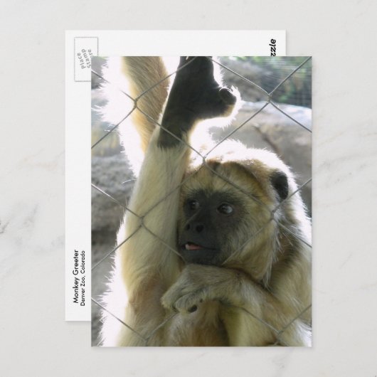 Monkey Greeter Briefkaart (Voorkant / Achterkant)