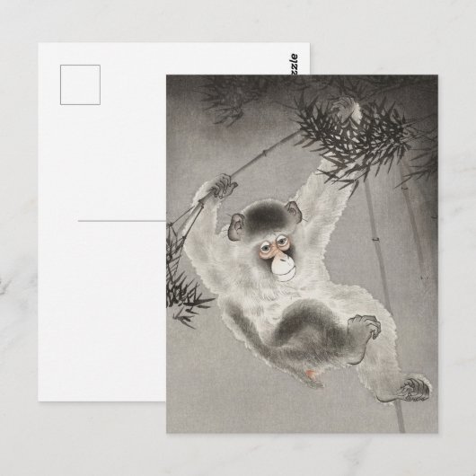 Monkey Hangen van de afdeling Bamboo door Ohara Ko Briefkaart (Voorkant / Achterkant)