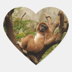 Monkey Heart Sticker