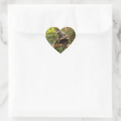 Monkey Heart Sticker (Tas)