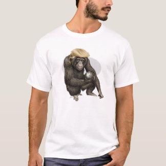 monkey holding the t-shirt