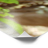 Monkey - Ik ben sober Foto Afdruk (Hoek)