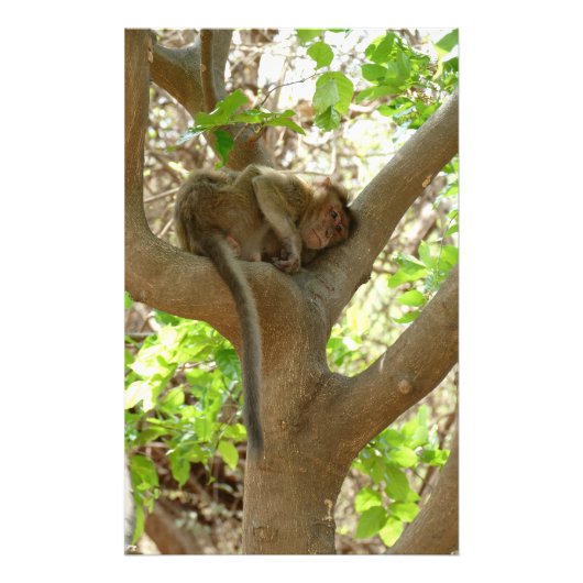 Monkey - Ik ben sober Foto Afdruk (Voorkant)