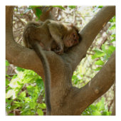 Monkey - Ik ben sober Perfect Poster (Voorkant)