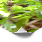 Monkey - Ik ben sober Perfect Poster (Hoek)