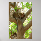 Monkey - Ik ben sober Poster (Voorkant)