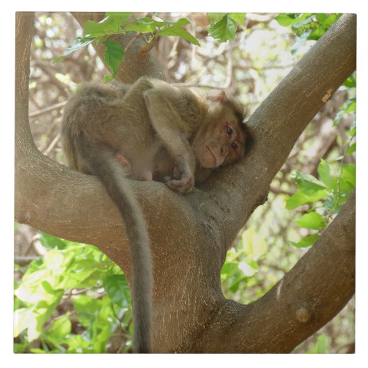 Monkey - Ik ben sober Tegeltje (Voorkant)