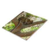 Monkey - Ik ben sober Tegeltje (Zijkant)