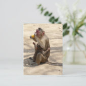 Monkey - Ik wil ook iets Briefkaart (Staand voorkant)