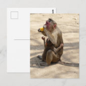 Monkey - Ik wil ook iets Briefkaart (Voorkant / Achterkant)