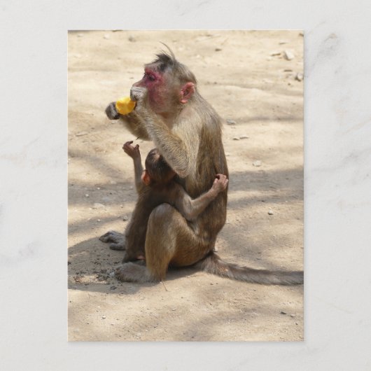 Monkey - Ik wil ook iets Briefkaart (Voorkant)