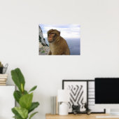 Monkey in Gibraltar Poster (Thuiskantoor)