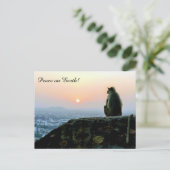 Monkey India Sunset Briefkaart (Staand voorkant)