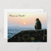 Monkey India Sunset Briefkaart (Voorkant / Achterkant)