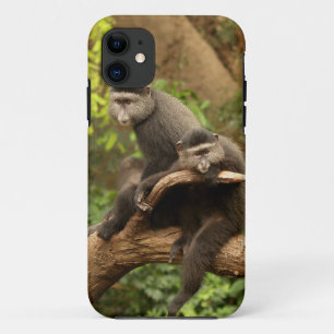 Monkey iPhone 5 Case-Mate iPhone Case
