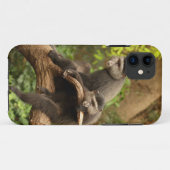 Monkey iPhone 5 Case-Mate iPhone Case (Achterkant (horizontaal))