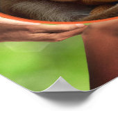 MONKEY LOVE ALWAYS WINS WALL ART POSTER (Hoek)