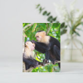Monkey Love Briefkaart (Staand voorkant)