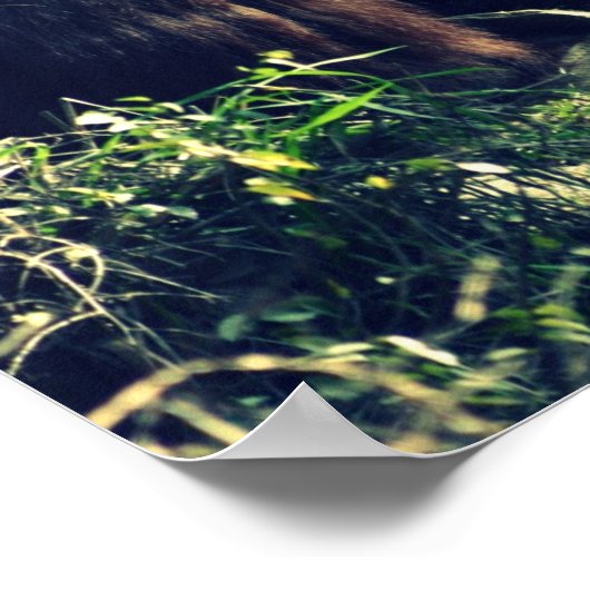 Monkey Love Poster (Hoek)