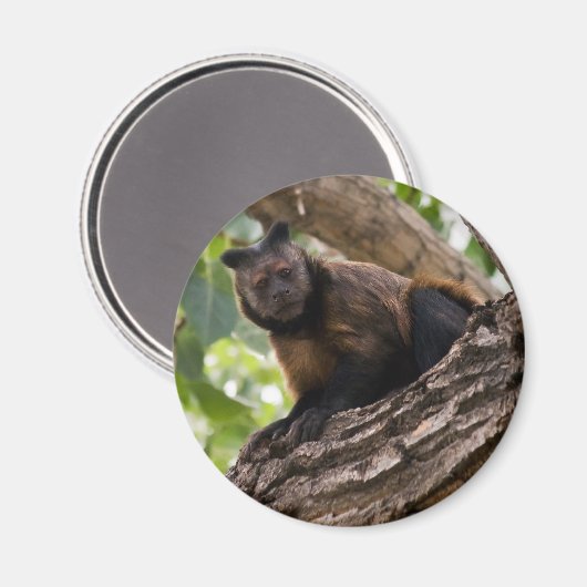 Monkey magnet (Voorkant / Achterkant)