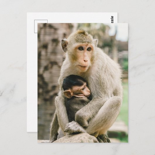 Monkey Mama en Baby Briefkaart (Voorkant / Achterkant)