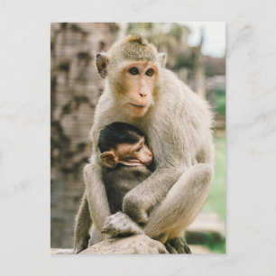 Monkey Mama en Baby Briefkaart