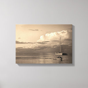 Monkey Mia Canvas Afdruk