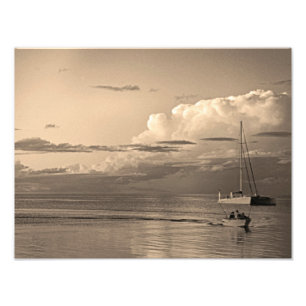 Monkey Mia Foto Afdruk