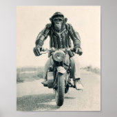 Monkey motorfiets, ape op motorfiets,  poster (Voorkant)