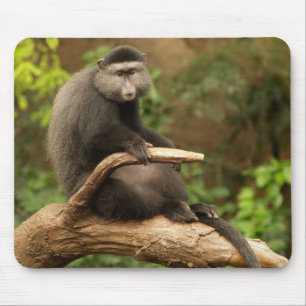 Monkey Mousepad Muismat