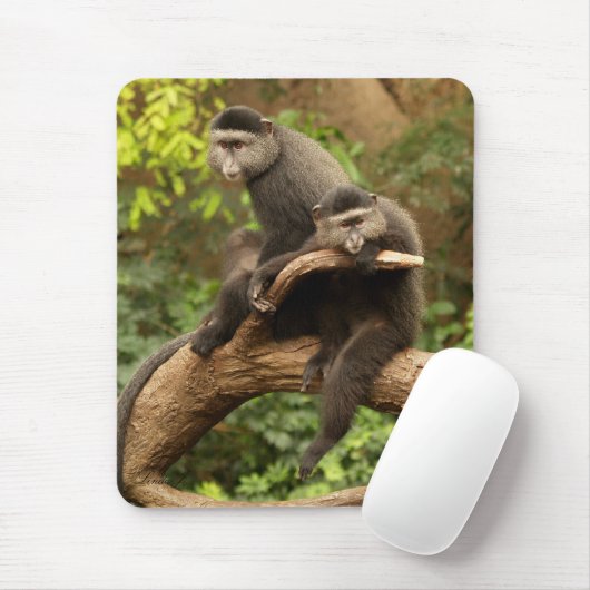 Monkey Mousepad Muismat (Met muis)