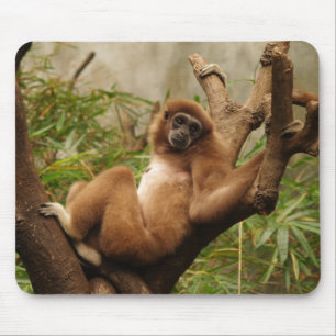 Monkey Mousepad Muismat