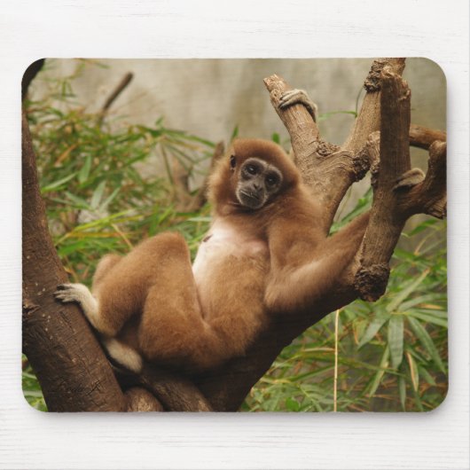 Monkey Mousepad Muismat (Voorkant)