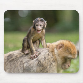 Monkey Mousepad Muismat