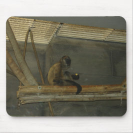 monkey muismat