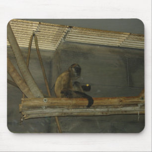 monkey muismat