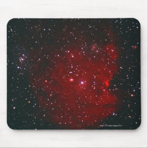 Monkey Nebula Muismat