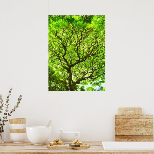 Monkey Pod Tree Poster (Keuken)