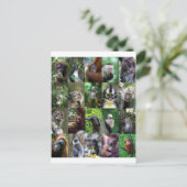 Monkey primate montage briefkaart (Staand voorkant)
