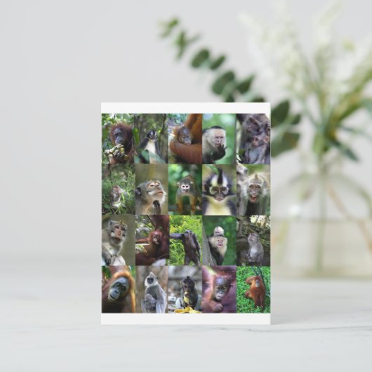 Monkey primate montage briefkaart (Staand voorkant)