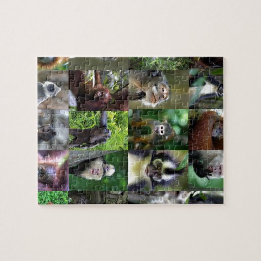 Monkey primate montage legpuzzel (Horizontaal)