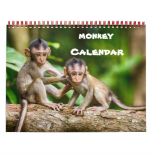Monkey Primate Vine Welcome Home Destiny's Kalender