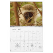 Monkey Primate Vine Welkom Home Destiny's Kalender (Jan 2027)