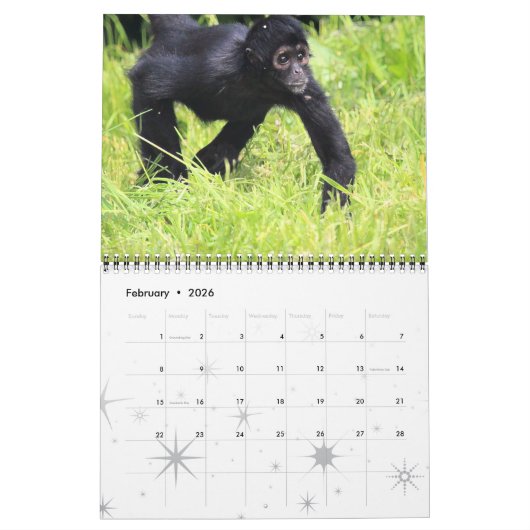 Monkey Primate Vine Welkom Home Destiny's Kalender (Feb 2026)