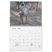 Monkey Primate Vine Welkom Home Destiny's Kalender (Jan 2026)