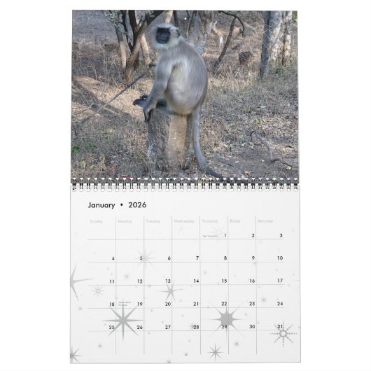 Monkey Primate Vine Welkom Home Destiny's Kalender (Jan 2026)