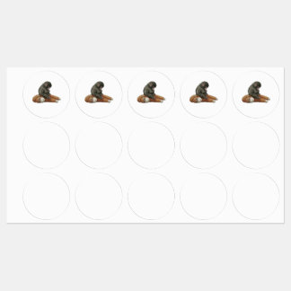 Monkey Punch, Baby Monkey Orangutan Hug  Labels