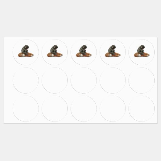 Monkey Punch, Baby Monkey Orangutan Hug  Labels (Vel)