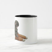 Monkey Punch, Baby Monkey Orangutan Hug  Mok (Midden)